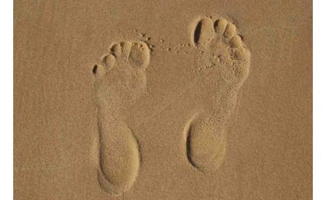 Barfußschuhe und Mythen: Die Wahrheit über gesunde Fußbekleidung