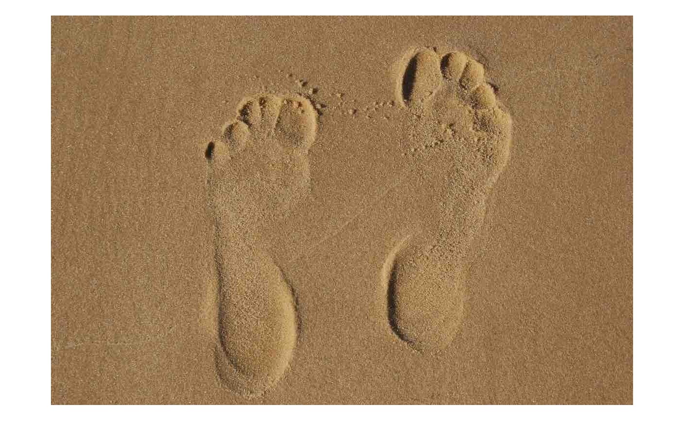 Barfußschuhe und Mythen: Die Wahrheit über gesunde Fußbekleidung